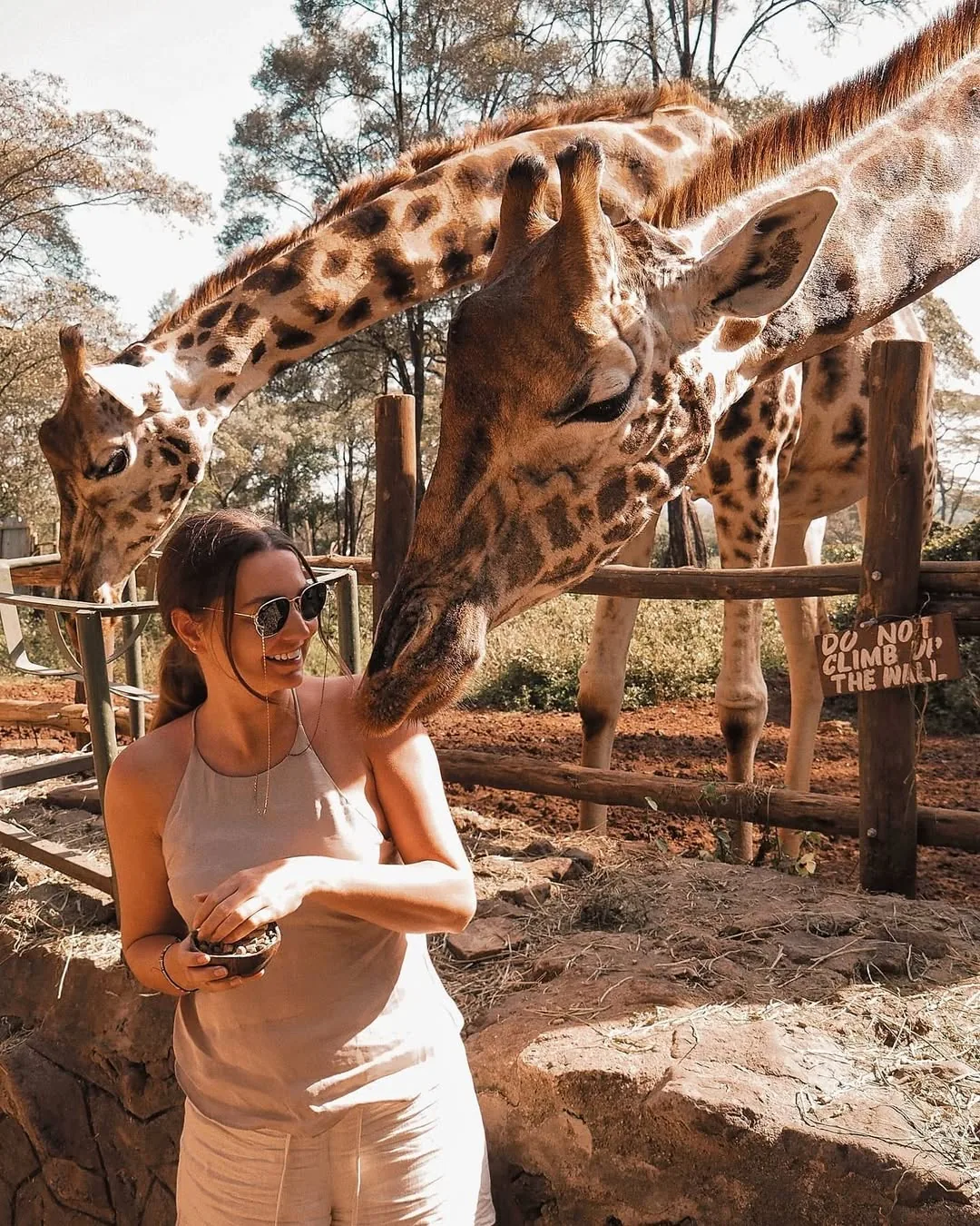 Visitor feeding a giraffe at the giraffe centre in Nairobi